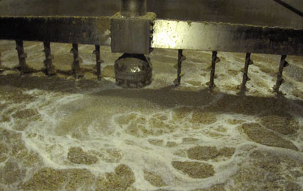 Find out how whisky is made